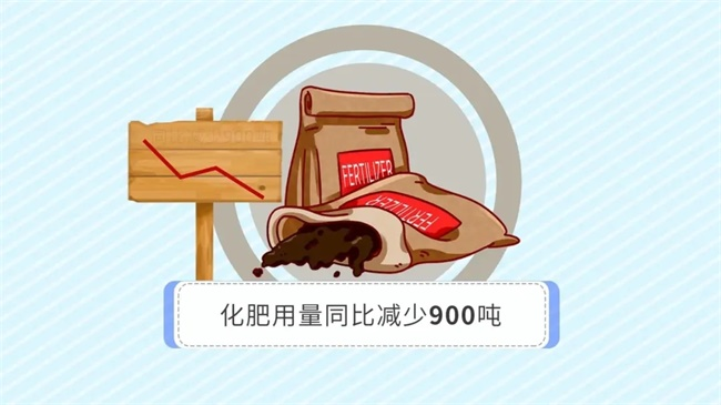 B4.webp.PNG