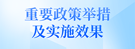 重要政策举措及实施效果