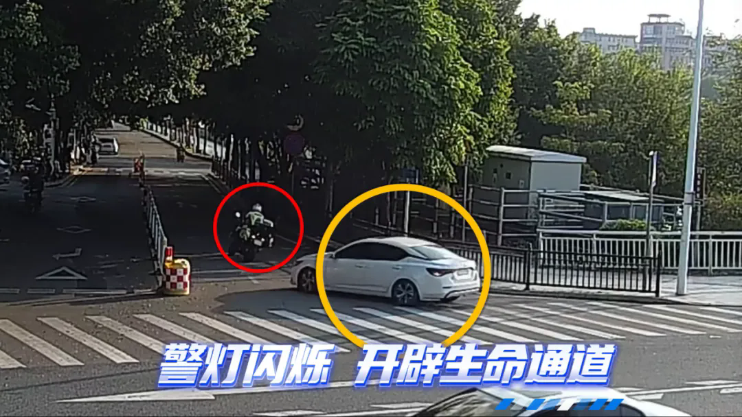 640.webp (1).png