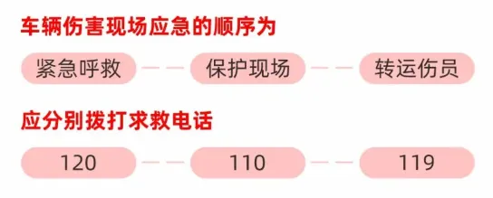 13.png