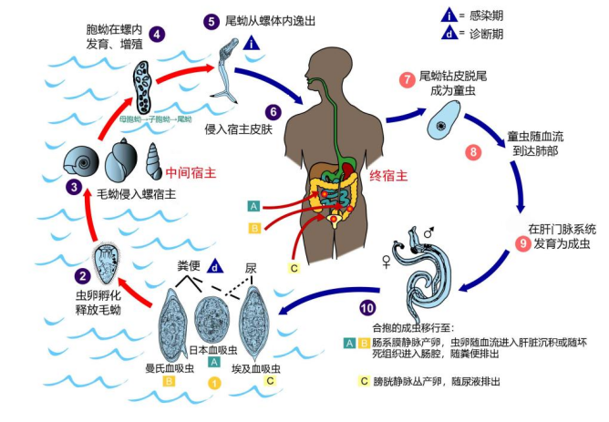 图片1(13).png