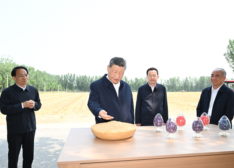 图1.jpg