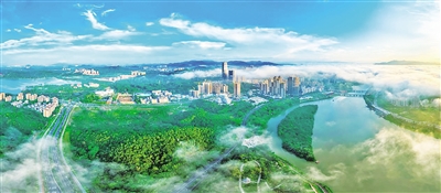 6ab3d36e38096_b.jpg